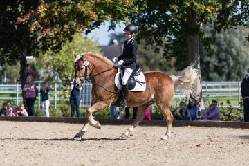 Bild 139 - Fuchshof Turnier
